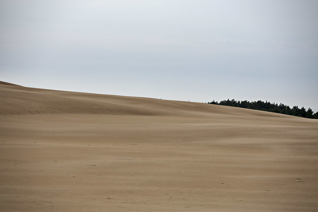 Slowinski Park: Dune mobili